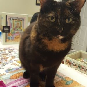 Meet your Posher, Patricia